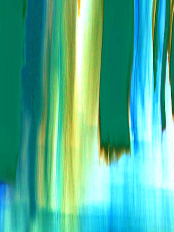 Moving trees 56