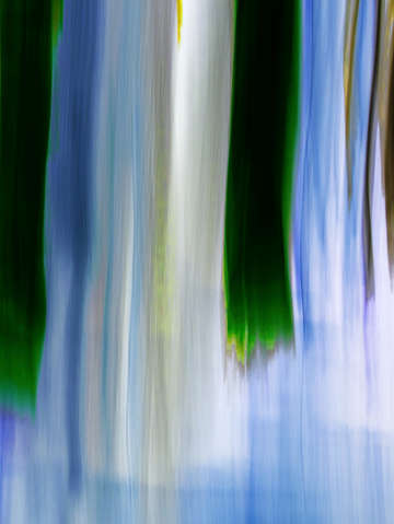 Moving trees 57