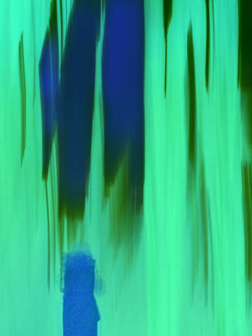 Moving trees 58