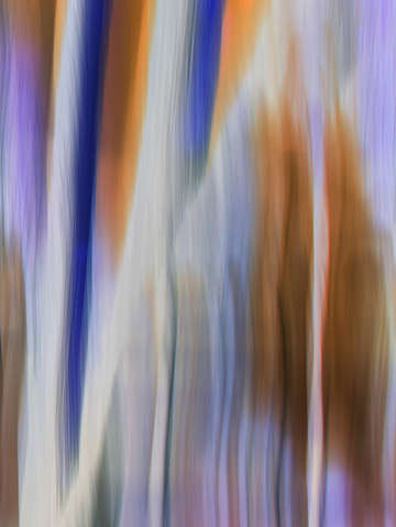 Moving trees 60