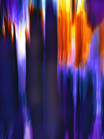 Moving trees 62