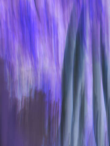 Moving trees 63