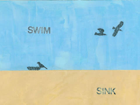 Sink/Swim