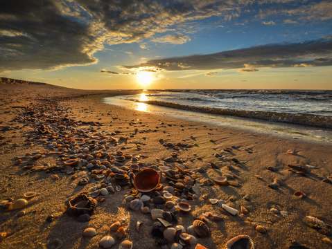 Shells in the sunrise dsc 0665