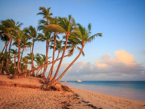 Dawn in punta cana