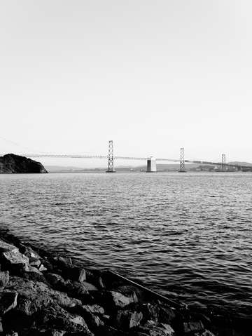 Black and white bay