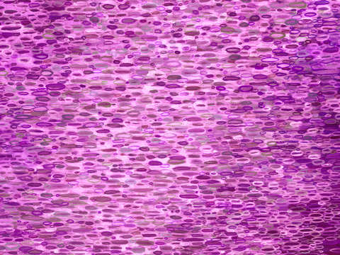 Ultra violet raindrops