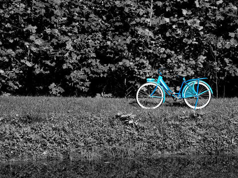 The old blue bike on the blue trail