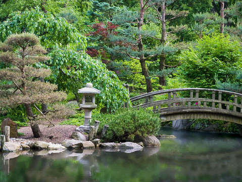 Japanese garden 3