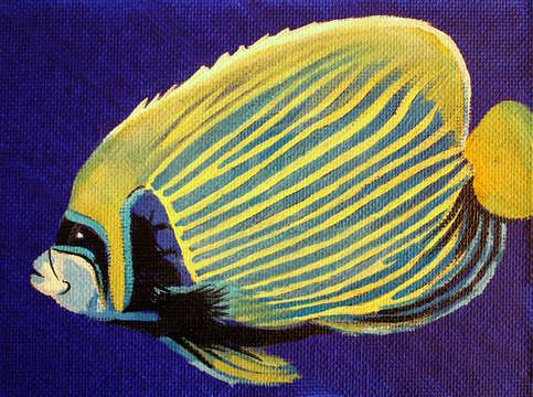 Tropical fish 3