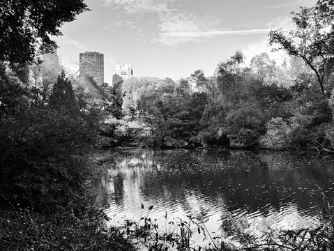 City noir central park 4