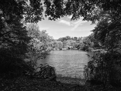 City noir central park 5