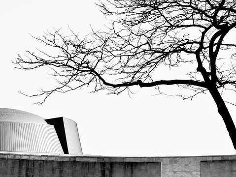 City noir united nations
