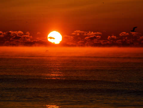 Rising into the orange sky dsc 0691