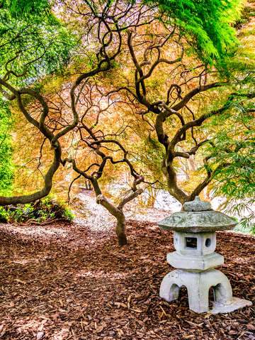 Japanese garden norfolk
