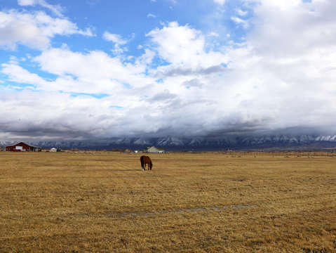 Utah farm