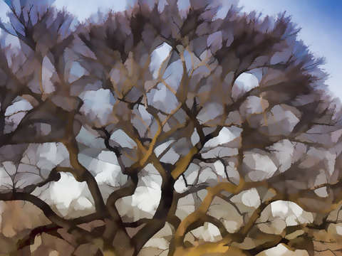Impressist trees