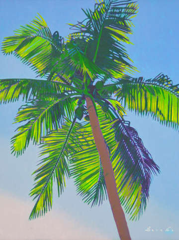 Sunlit palm