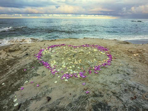 Love on the coastline