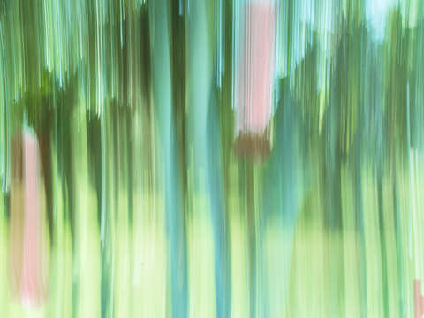 Moving trees 04