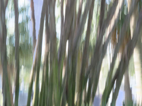 Moving trees 08