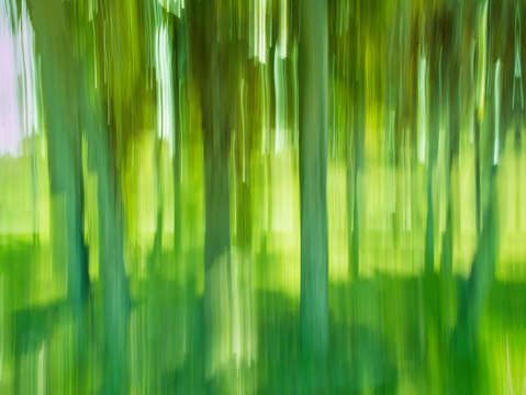 Moving trees 12