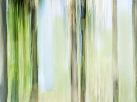 Moving trees 14