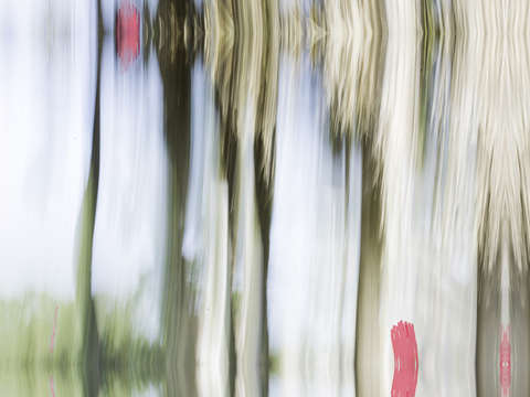 Moving trees 15