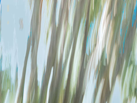 Moving trees 16