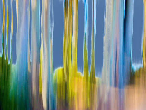 Moving trees 17
