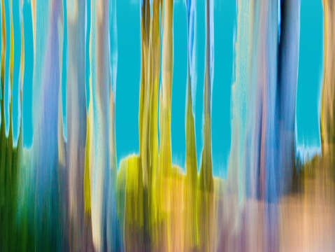 Moving trees 66