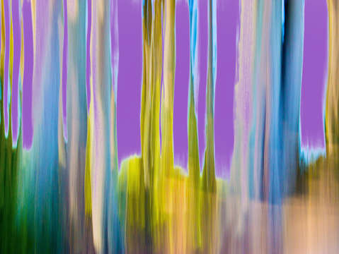 Moving trees 18