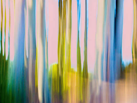 Moving trees 19