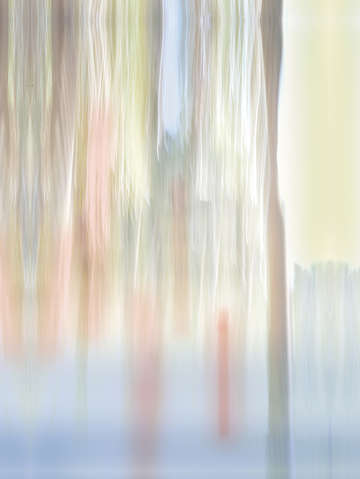 Moving trees 33 portrait format 2