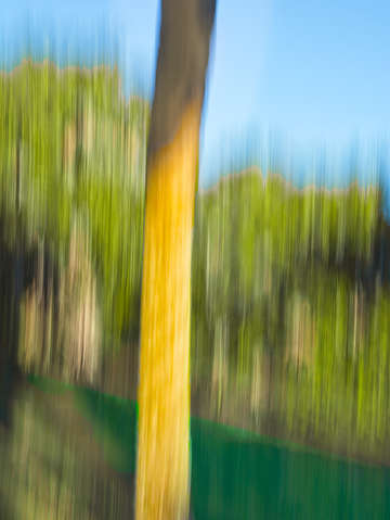 Moving trees 32