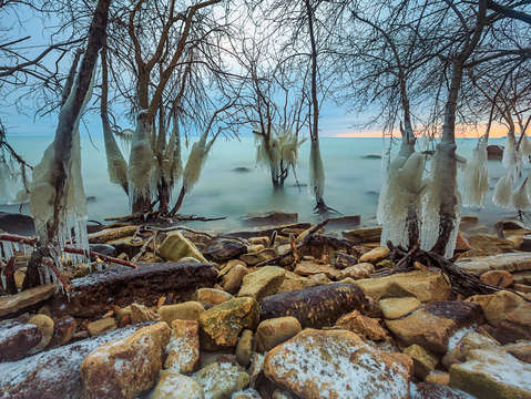 Mke ice jungle