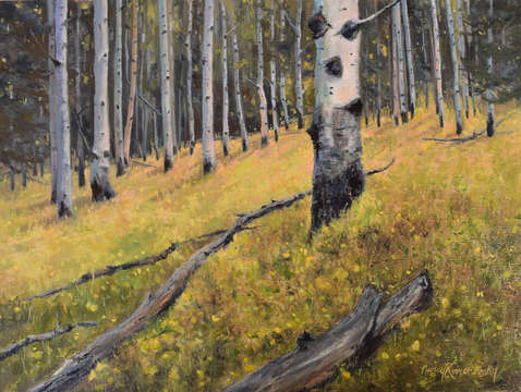 Aspen slope