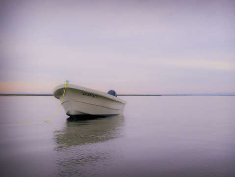 Solitary boat