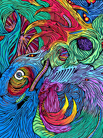 The eye