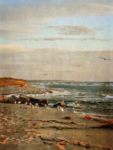 Autumn shoreline at the rivers mouth