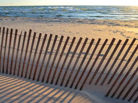 Snow fences in autumn