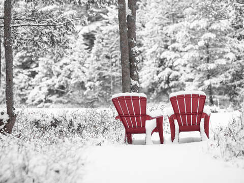 Winter on golden pond
