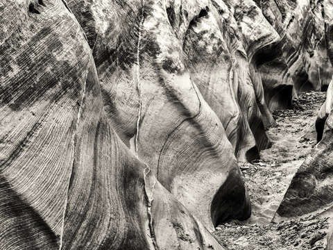 Waves 4
