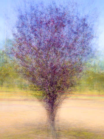 Magenta 3