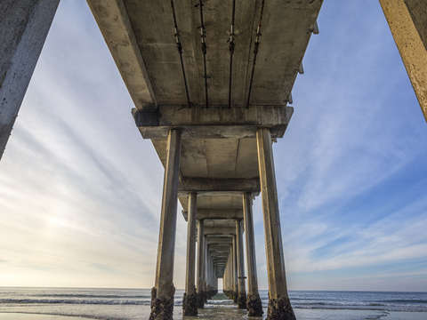 Scripps framed