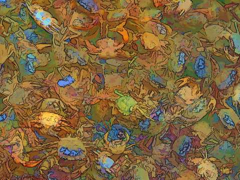 Crabs