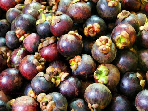 Mangosteens