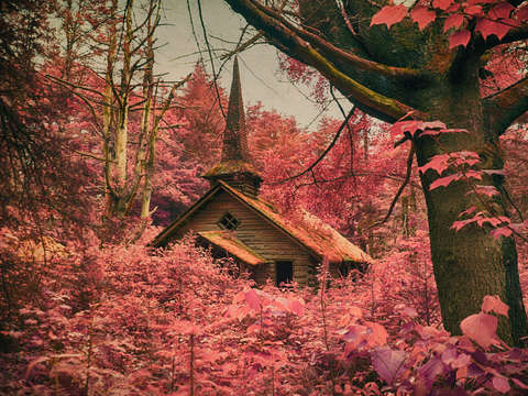 Pink church