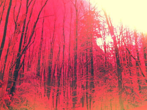 Pink orange ir