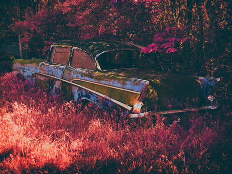 Rusty pink